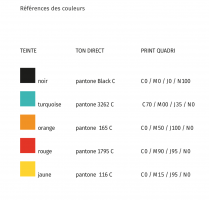 charte graphique zigzag couleurs